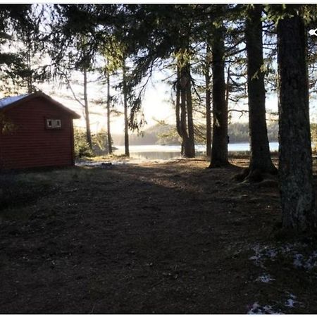 Cabin In The Woods, Lolandsvannet Near Kristiansand Vennesla Exterior foto
