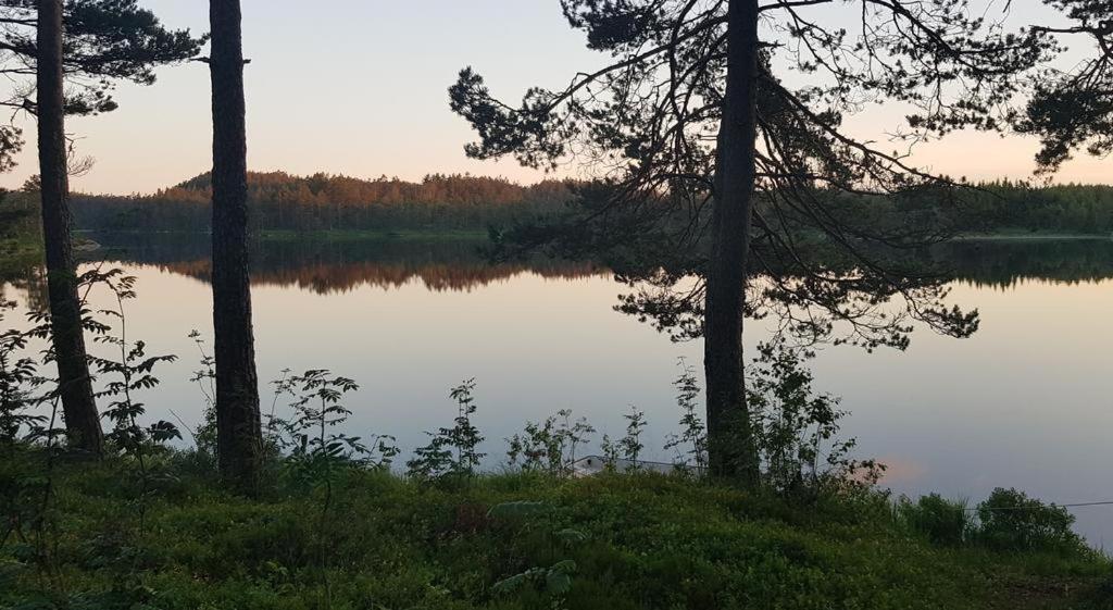 Cabin In The Woods, Lolandsvannet Near Kristiansand Vennesla Exterior foto