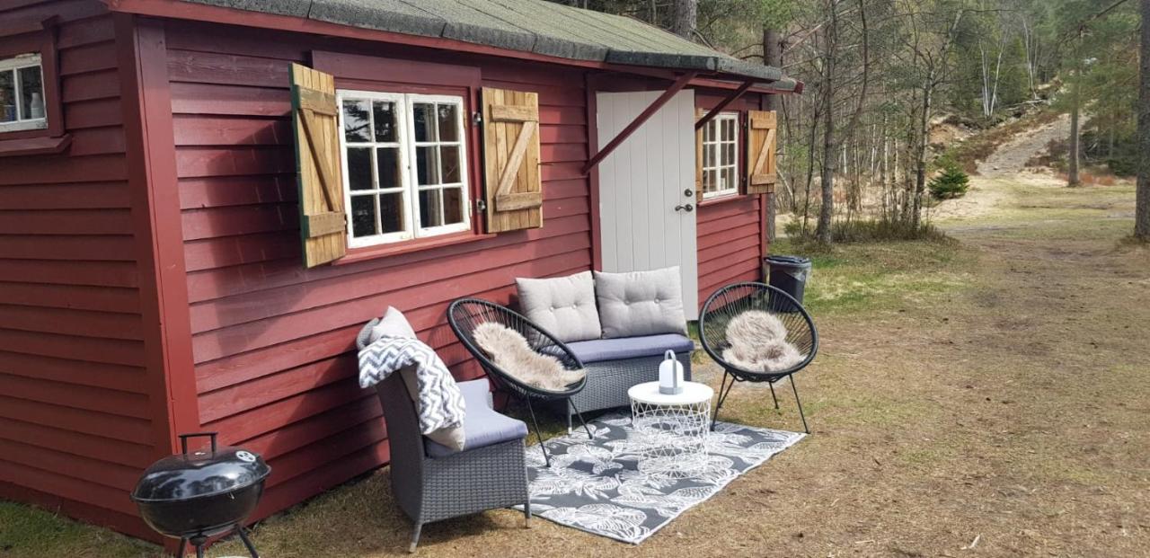 Cabin In The Woods, Lolandsvannet Near Kristiansand Vennesla Exterior foto